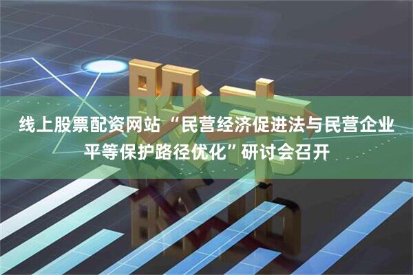 线上股票配资网站 “民营经济促进法与民营企业平等保护路径优化”研讨会召开
