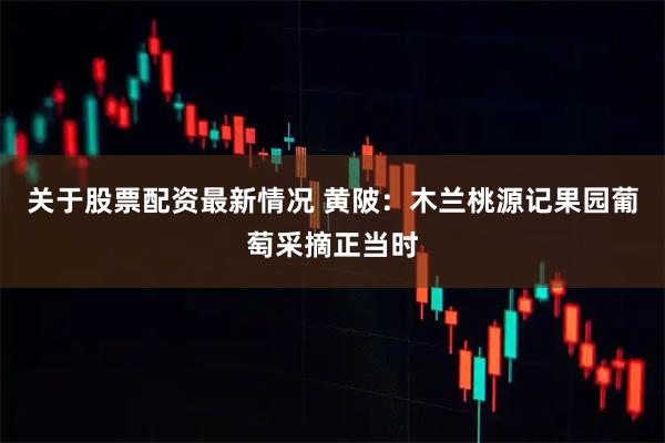 关于股票配资最新情况 黄陂:木兰桃源记果园葡萄采摘正当时